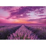 Clementoni - 39606 - High Quality 1000 pieces - Lavender Field