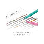 Feutre de coloriage triplus color Pte large 1 mm Noir STAEDTLER