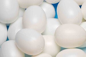 Oeuf en plastique 4 x 3 cm Blanc 12 pièces