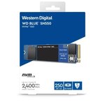WD Blue™ - Disque SSD Interne - SN550 - 250Go - M.2 NVMe (WDS250G2B0C)
