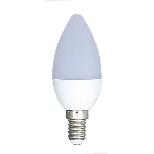 Ampoule Led flamme 5 W, culot E14