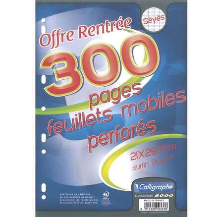 Feuillet mobile 21x29 7 cm 300 pages perforées seyès s/film calligraphe