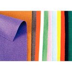 Feutrine 20x30cm Assortiment de 12 coupons