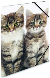 Chemise 3 rabats et élastique polypro pour A4 Motif Chat HERMA