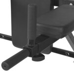 vidaXL Station de fitness murale noire