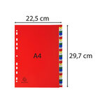 Intercalaires Imprimés Numériques Pp Couleurs 31 Positions - A4 - Blanc - X 20 - Exacompta