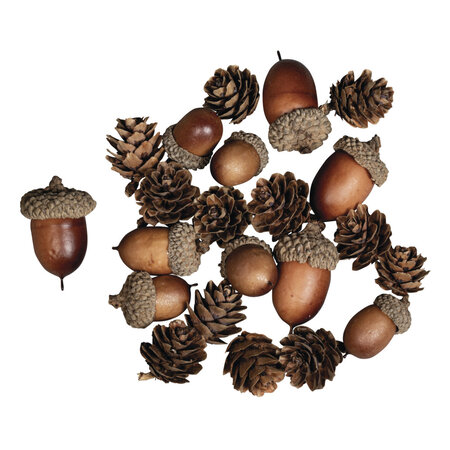Gland Assortiment 2-4cm 27 pièces