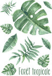 Transfert Thermocollant Feuilles Tropicales Couleur A4