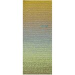 Pelote fil coton olive - ricorumi spin spin 50 g