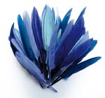 Plumes d'indien pour activités enfant Camaieu bleu 15cm