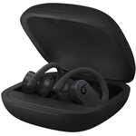 APPLE Ecouteurs sans fil Powerbeats Pro - Intra-auriculaire - Noir