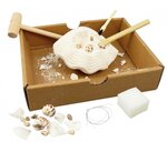 Kit d'expériences Coquillages
