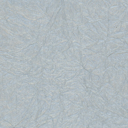 PAPERTREE 56*76 125g ANTIK Argent - Lot de 10 feuilles
