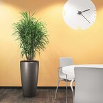 LECHUZA Jardinière Rondo 32 ALL-IN-ONE Charbon métallique 15783