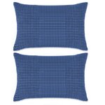 vidaXL Jeu de coussin 2 Pièces Velours 40 x 60 cm Bleu