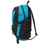 vidaXL Sac à dos de randonnée 40 L Noir et bleu