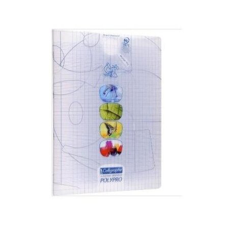 Cahier travaux pratiques 24x32cm 96p séyès 90g calligraphe