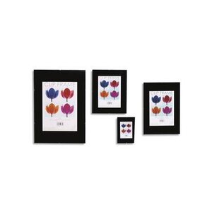PHOTO ALBUM COMPANY Clip Frame système de Clips en métal, face en... THE PHOTO ALBUM COMPANY LTD