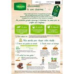Haricot nain vert sans fil Cupidon bio 20m Vilmorin