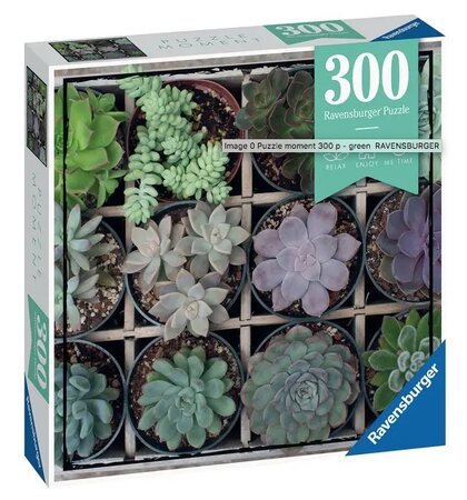 Puzzle Moment Green 300 pieces