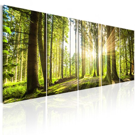 Tableau - sunlight l x h en cm 225x90