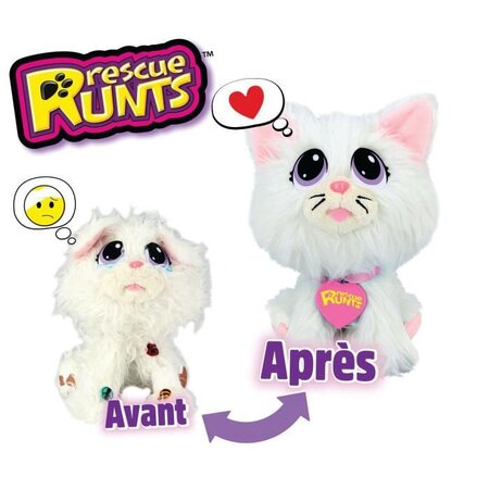 RESCUE RUNTS - Le Persan a soigner
