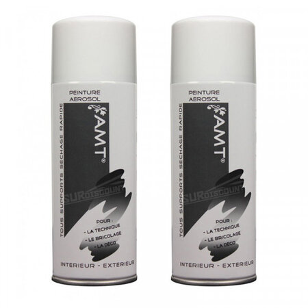 Lot de 2 bombes de peinture - blanc métallisé - amt