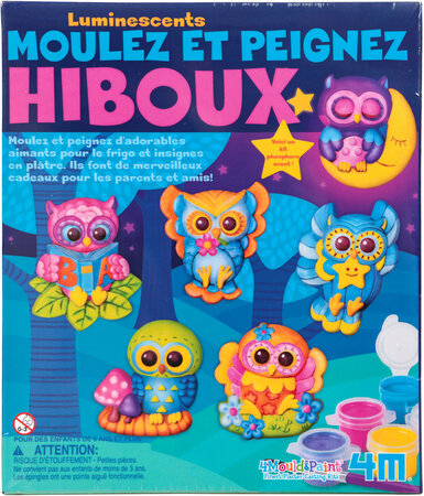 Kit DAM/4M pour enfant Moulez et peignez hiboux