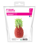 Moule à bougie en latex Ananas