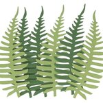 6  Feuilles  Papier