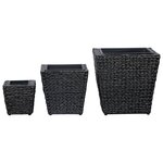 vidaXL Lits surélevés de jardin 3 Pièces Jacinthe d'eau Noir