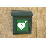 Panneau Pvc Adhésif Antidérapant Défibrilateur 20x20 Cm - Vert - Exacompta
