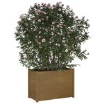 vidaXL Jardinière d'extérieur Marron miel 100x50x70 cm Pin massif