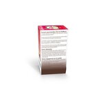 Tisanière fleurie porcelaine 250 ml + Tisane cranberry et citron vert bio