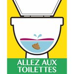 V.I.Poo Désodorisant WC Fruity Pin-Up spray de 55 ml AIR WICK