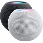 Enceinte résidentielle Apple HomePod Mini Gris Sidéral