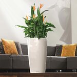 LECHUZA Jardinière Rondo 32 ALL-IN-ONE Blanc haute brillance 15780