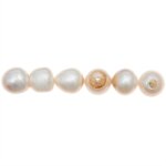 Perles nacrées - blanc - 10 mm