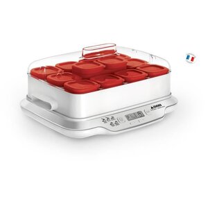 SEB YG661500 Yaourtière Multidélices Express 12 pots 140 ml, Sans BPA, Yaourts et desserts lactés faits maison, 5 programmes auto