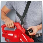 Einhell souffleur à feuilles électrique gc-el 2500 e 3433300