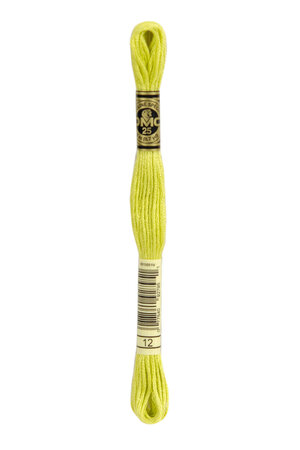 Fil Mouliné DMC Gold Concept 8M Col. 12 Broderie et Point de Croix