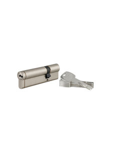 THIRARD - Cylindre double entrée Transit 1 UNIKEY (achetez-en plusieurs  ouvrez avec la même clé)  30x80mm  5 clés  nickelé