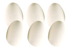 Oeuf en plastique 6 x 4 5 cm Blanc 6 pièces