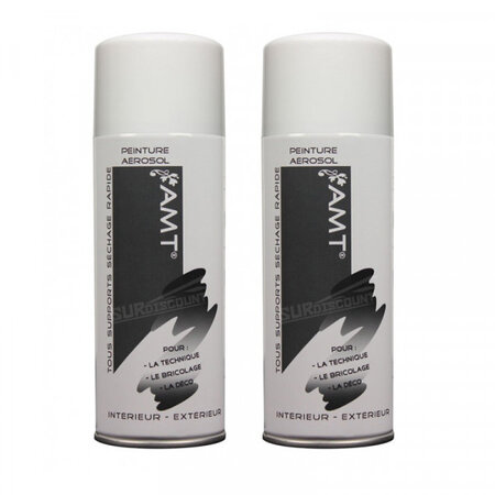 Lot de 2 bombes de peinture - blanc brillant - amt