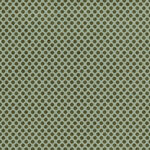 Carton Glacé Motif polka dot