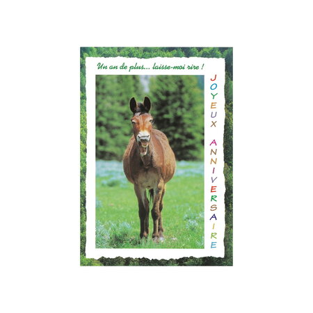 Carte de voeux - anniversaire - cheval "un an de plus ... Laisse-moi rire !"