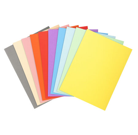 Paquet De 10 Chemises Forever® 170 100  Recyclé - 24x32cm - X 10 - Exacompta