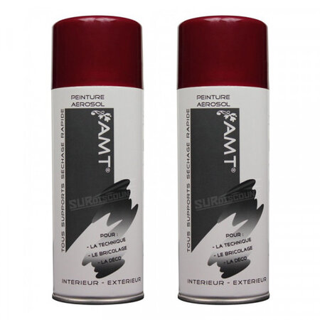 Lot de 2 bombes de peinture - fruits rouges - amt