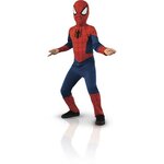 Déguisement cla S 5/6 ans