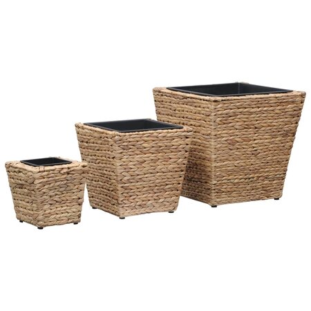 vidaXL Lits surélevés de jardin 3 Pièces Jacinthe d'eau